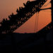 Roller Coaster Accident at Salem Fair Injures 6; Rider may be at Fault