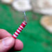 Father may be Charged for Maine Firework Accident That Injured Son