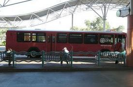 Two Separate Lynx Bus Crashes Injured 15 People Across Orlando