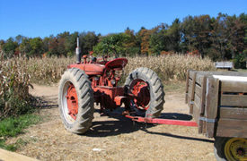 4 Airlifted, 40 Injured in Shaw Island Hayride Accident