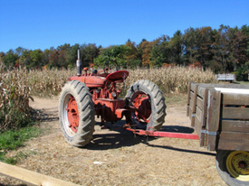 4 Airlifted, 40 Injured in Shaw Island Hayride Accident
