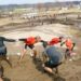 Broken Neck, Bones Reported Among 20 Injuries at Tough Mudder Series