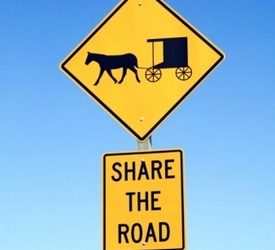 Horse-Drawn Carriage, Tractor-Trailer Crash on Hwy 31 Kills 4