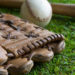Staten Island Bus Crash Hurts 3 Phillies-Affiliated Minor League Players, Coach