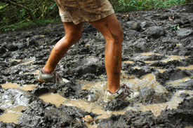 Michigan ‘Warrior Dash’ Participant Paralyzed During Event