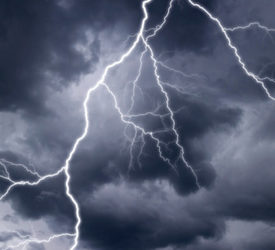 Lightning Strike at Sea World’s Discovery Cove Injured 8