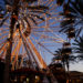 Crane Collapse at Sacramento’s Scandia Family Fun Center Injured 2
