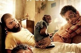 ‘The Hangover Part 2’ Stunt Man Sues Warner Brothers for Brain Injury