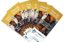 Avoiding Brochure Printing Disasters