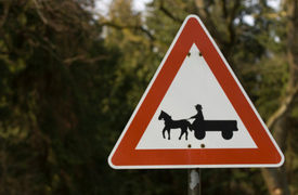 Ann Arbor Woman Ran Over by Horse-Drawn Wagon at Jenny’s Farm