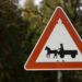 Ann Arbor Woman Ran Over by Horse-Drawn Wagon at Jenny’s Farm