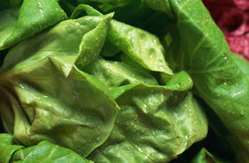 FDA: Romaine Lettuce Recalled Over Listeria Contamination Fears