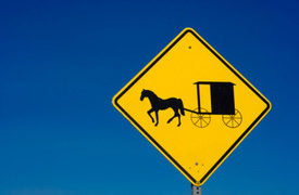 Pickup, Horse-Drawn Buggy Crash Kills Girl, 12, in St. Mary’s County, MD