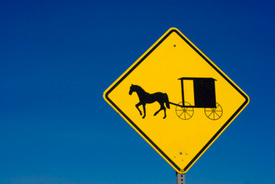 Pickup, Horse-Drawn Buggy Crash Kills Girl, 12, in St. Mary’s County, MD