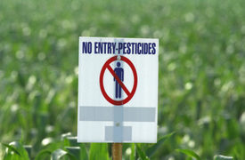 Herbicide Sprayed at Butler County School Sickened About 50 Students