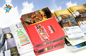 Custom Brochure Printing Initiatives Help Generate Awareness