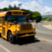 Drunk Driver Causes School Bus Crash in Chaptico; 20 Injured