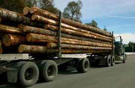 20 Students Injured in School Bus, Log Truck Crash in Southern Miss.