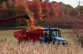 Genesee County Woman Loses Leg in Elba Farm Accident