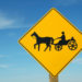 Woman Paralyzed in Hayride Accident at Jenny’s Market Sues