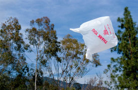 Washington Considers Proposed Statewide Plastic Bag Ban