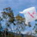 Washington Considers Proposed Statewide Plastic Bag Ban