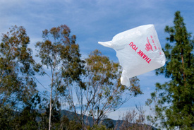 Washington Considers Proposed Statewide Plastic Bag Ban