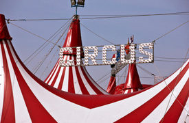Two Performers Injured in Accident at Shrine Circus Show