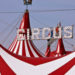 Two Performers Injured in Accident at Shrine Circus Show