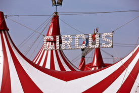 Two Performers Injured in Accident at Shrine Circus Show