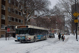 Man Killed in Head-On Crash with CTA Bus in Englewood