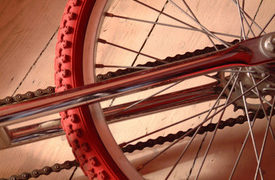 NC State Student Critically Injured in Bicycle Accident