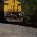 11-Year-Old Wisconsin Boy Killed by Freight Train While Walking to School