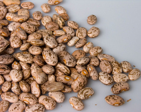 Morgan County Man Killed in Pile of Pinto Beans at Kelley Bean Co.