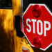 School Bus, SUV Collision in National Park Hospitalizes 11