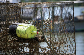 Fishing Accident Claims Crabber off San Mateo County Coast