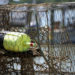 Fishing Accident Claims Crabber off San Mateo County Coast