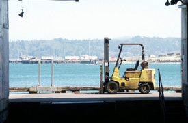 Forklift Accident at Georgia Ports’ Ocean Terminal Kills ILA Worker