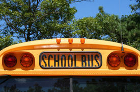 School Bus Head-On Crash with BMW Injures 5 in Kingston