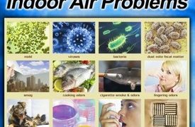 New Studies Confirm the Perils of Air Pollution