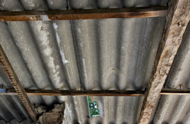 Nonprofit Executives Plead Not Guilty in Asbestos Exposure Case